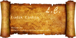 Ludik Cintia névjegykártya